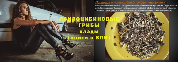 ГАЛЛЮЦИНОГЕННЫЕ ГРИБЫ Вяземский