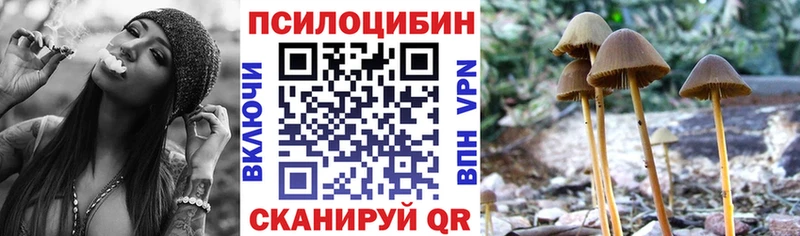 где можно купить наркотик Арск Галлюциногенные грибы Cubensis