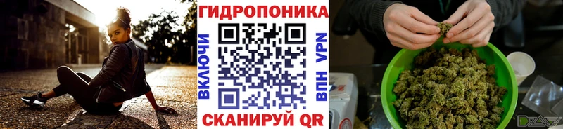 Бошки Шишки планчик Арск